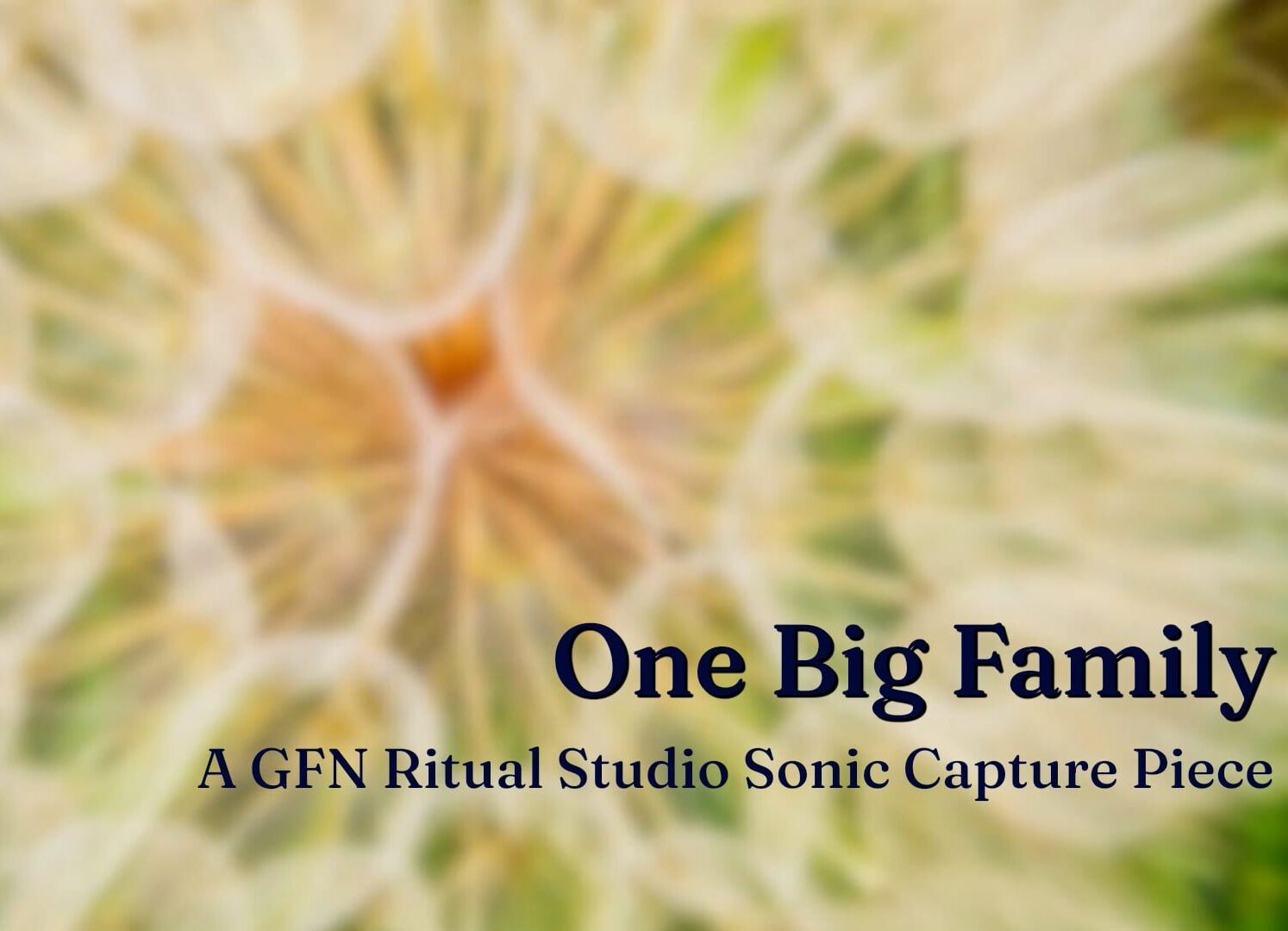 One Big Family: How Networks Create Spaces of Healing and Care